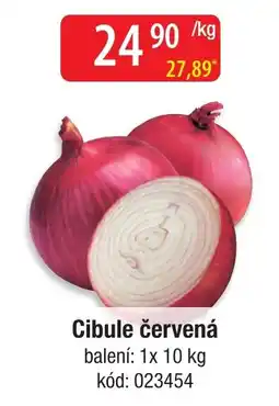 Qanto Cibule červená nabídka