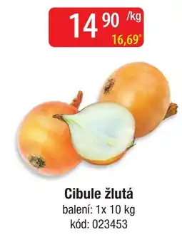 Qanto Cibule žlutá nabídka