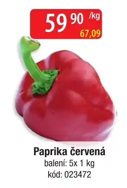 Qanto Paprika červená nabídka