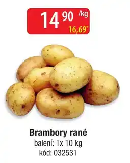 Qanto Brambory rané nabídka