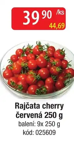 Qanto Rajčata cherry červená nabídka