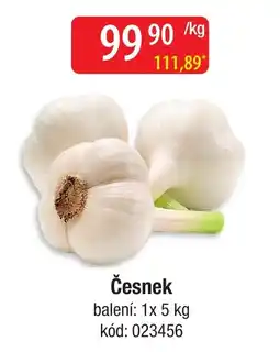 Qanto Česnek nabídka