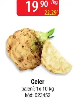 Qanto Celer nabídka