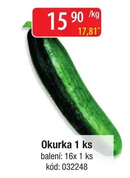 Qanto Okurka nabídka