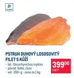 Makro Pstruh duhový lososovitý, filet s kůží nabídka
