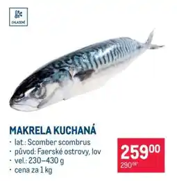 Makro Makrela kuchaná nabídka