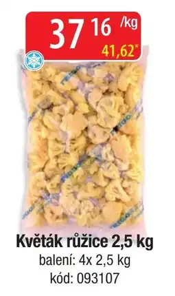 Qanto Květák růžice nabídka