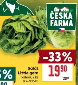 Billa Salát Little Gem nabídka