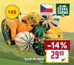 Billa Dýně okrasná nabídka