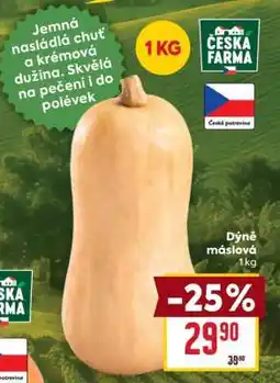 Billa Dýně máslová nabídka