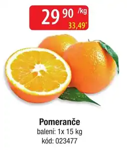 Qanto Pomeranče nabídka