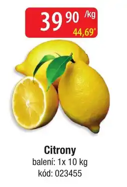 Qanto Citrony nabídka