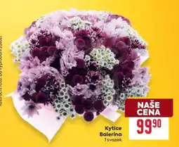 Billa Kytice Balerina nabídka