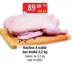 Qanto Kachna A kalibr nabídka