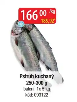 Qanto Pstruh kuchaný nabídka