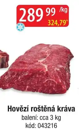 Qanto Hovězí roštěná kráva nabídka