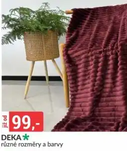 Baumax Deka nabídka