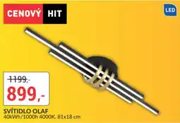 Baumax Olaf svítidlo nabídka