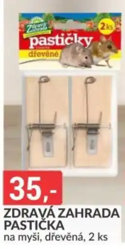 Baumax Zdravá zahrada pastička nabídka