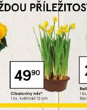 Tesco Cibuloviny mix nabídka