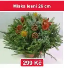 Konzum Miska lesní nabídka