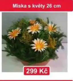 Konzum Miska s kvety nabídka