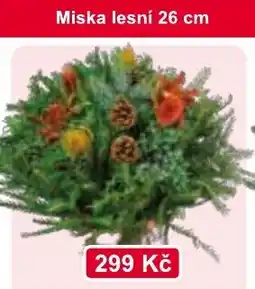 Konzum Miska lesní nabídka
