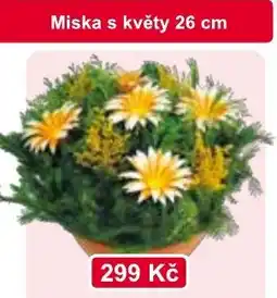 Konzum Miska s květy nabídka