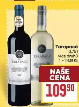 Billa Tarapacá nabídka