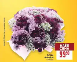 Billa Kytice Balerina 1 svazek nabídka