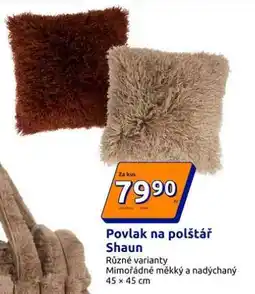 Action Povlak na polštář Shaun nabídka
