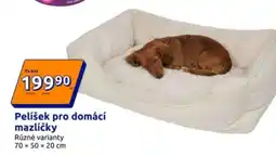 Action Pelišek pro domácí mazlíčky nabídka