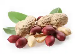 Ratio Arašídy neloupané 400g nabídka