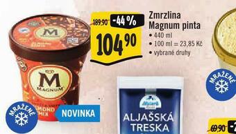 Jip Zmrzlina magnum pinta nabídka