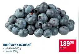 Makro Borůvky kanadské nabídka