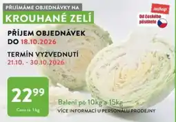 Qanto Krouhané zelí nabídka