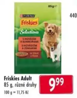 Qanto Friskies Adult nabídka