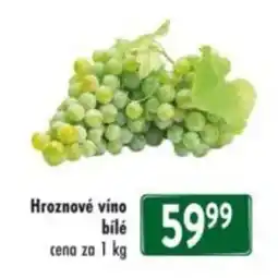 Qanto Hroznové víno bílé nabídka