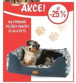 Globus Na vybrané pelíšky značky O'lala pets nabídka