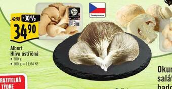 Albert Hlíva ústřičná nabídka