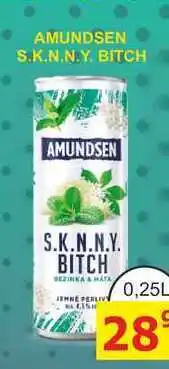 BENE Nápoje AMUNDSEN S.K.N.N.Y. BITCH 0,25L míchaný nápoj, plech nabídka
