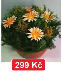 Fortel Květinová kompozice nabídka