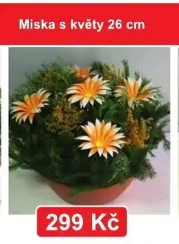 Fortel Miska s květy nabídka