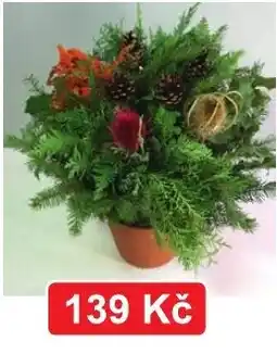 Fortel Vánoční kytice nabídka