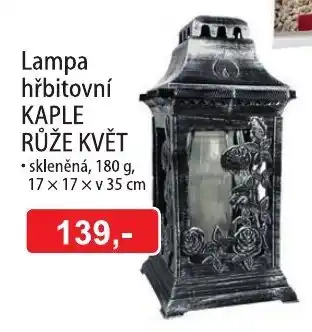 Kaple růže květ