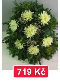 Fortel Květinový kruh nabídka