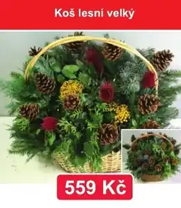 Fortel Koš lesní velký nabídka