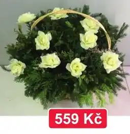 Fortel Květinový košík nabídka