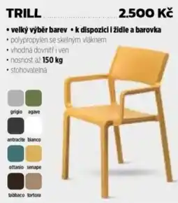 Jamall Trill židle nabídka