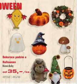Uni Hobby Dekorace podzim a Halloween nabídka